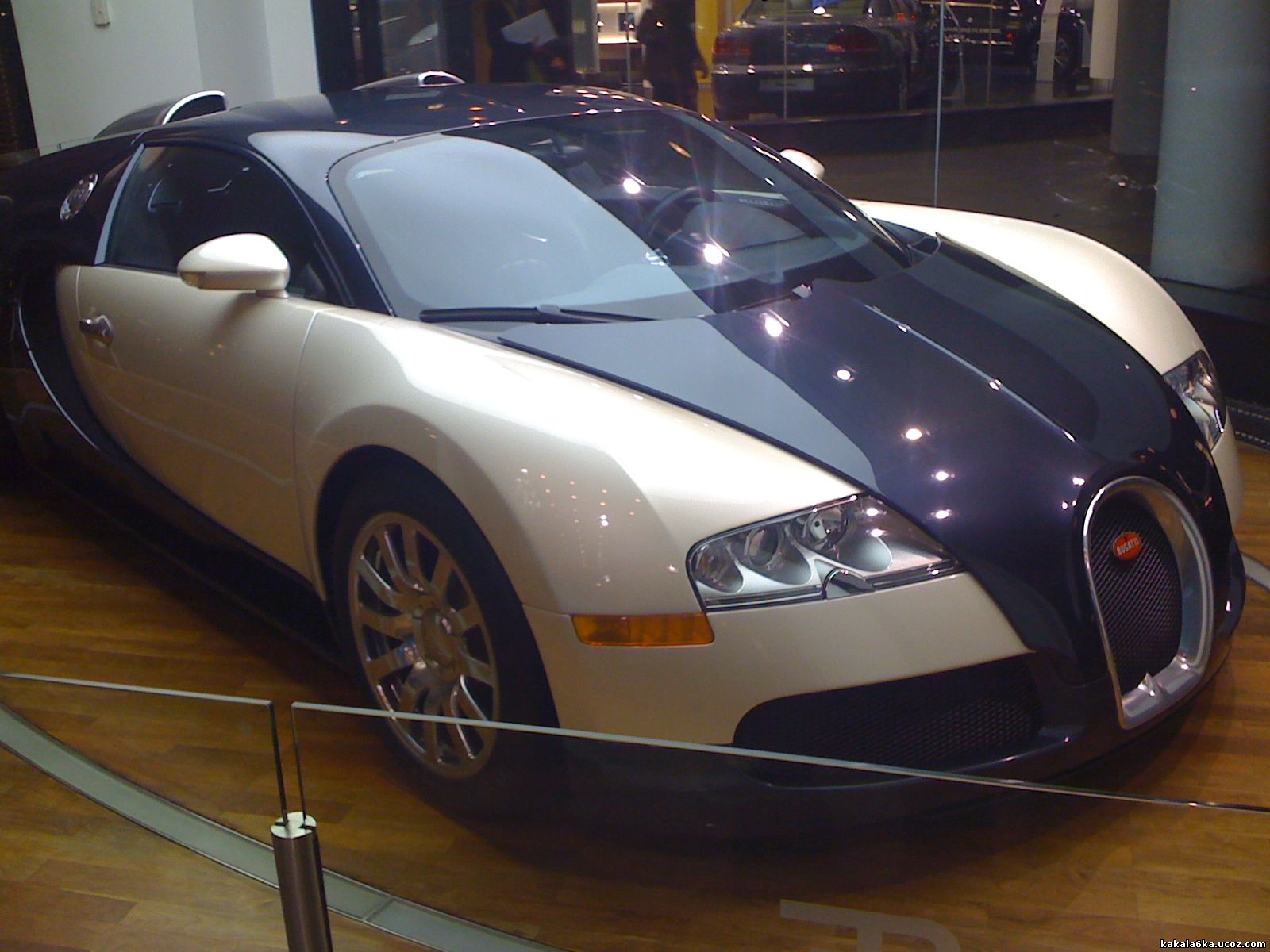 Bugatti Veyron, батко. 1001 коня.